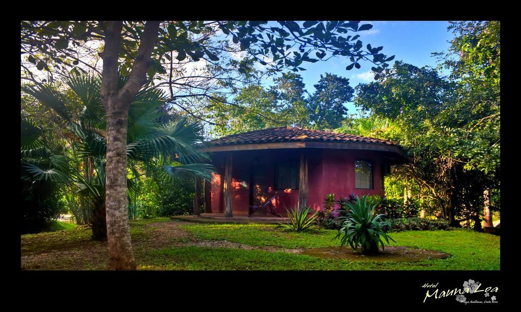 Pinilla Hotel Mauna Loa חדר תמונה
