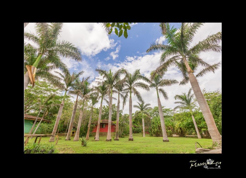 Pinilla Hotel Mauna Loa מראה חיצוני תמונה