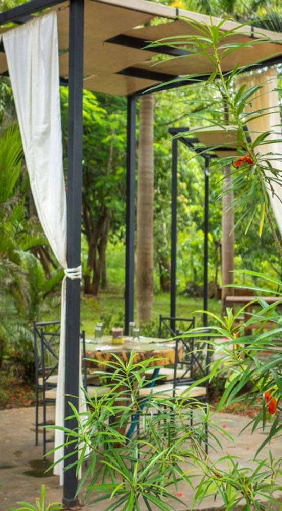 Pinilla Hotel Mauna Loa מראה חיצוני תמונה
