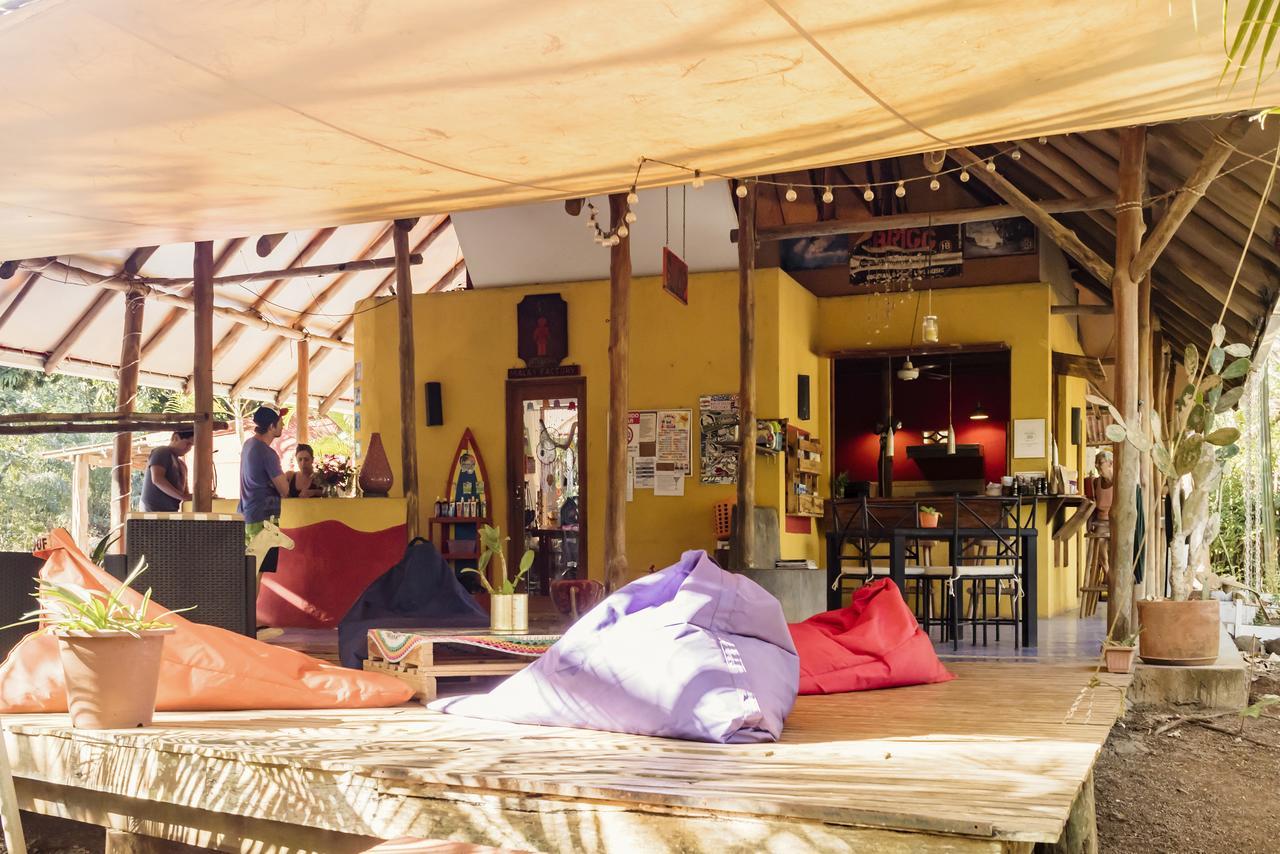 Pinilla Hotel Mauna Loa מראה חיצוני תמונה