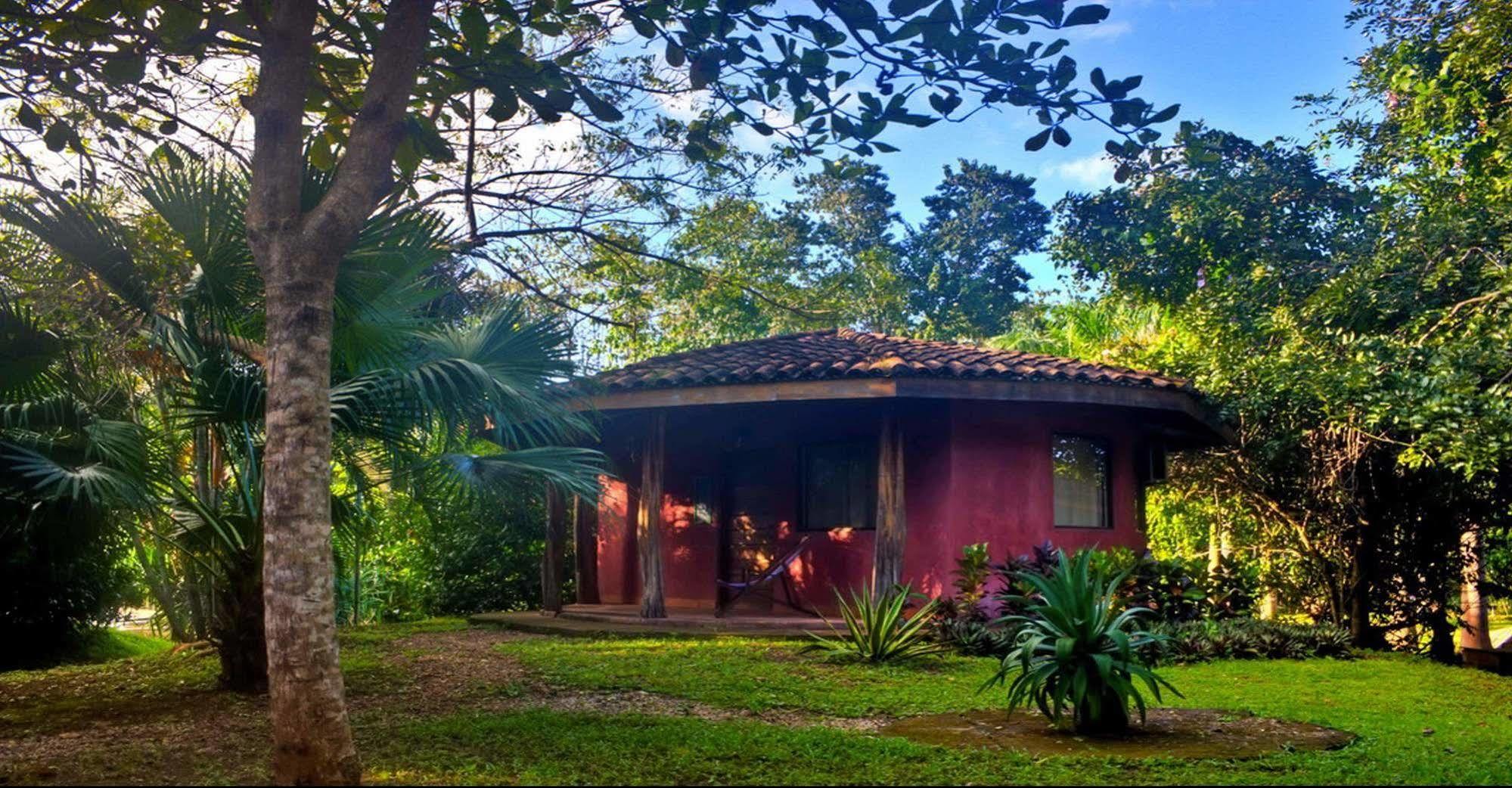 Pinilla Hotel Mauna Loa מראה חיצוני תמונה