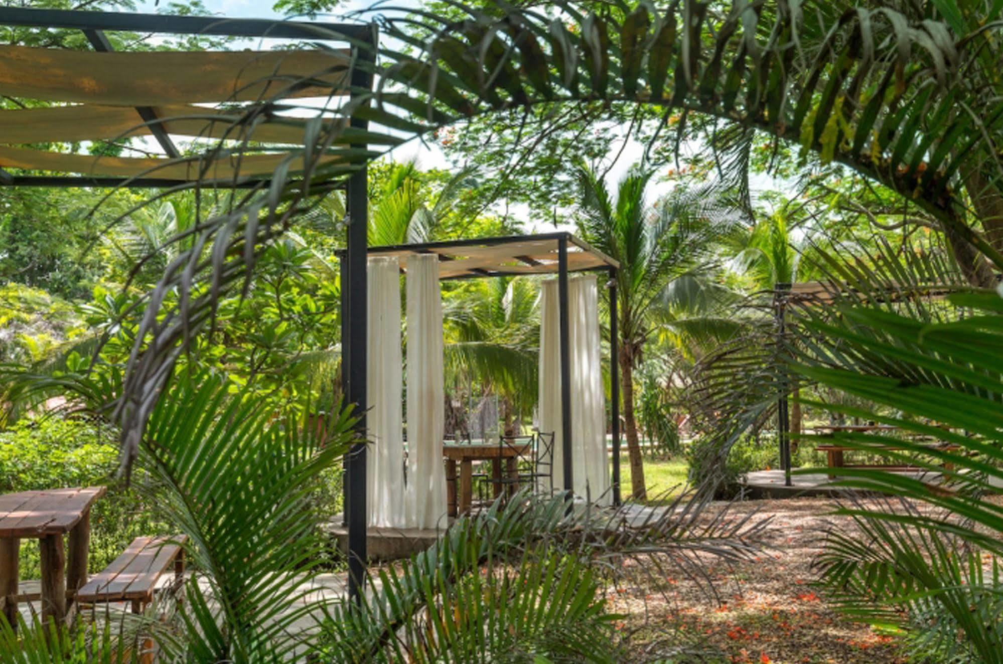 Pinilla Hotel Mauna Loa מראה חיצוני תמונה